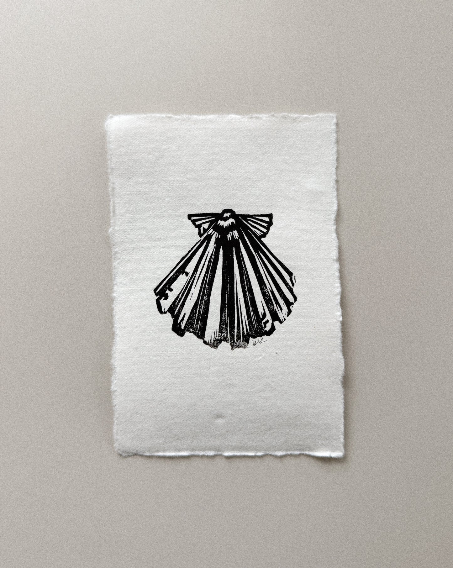 Lions Paw: A Tiny Print