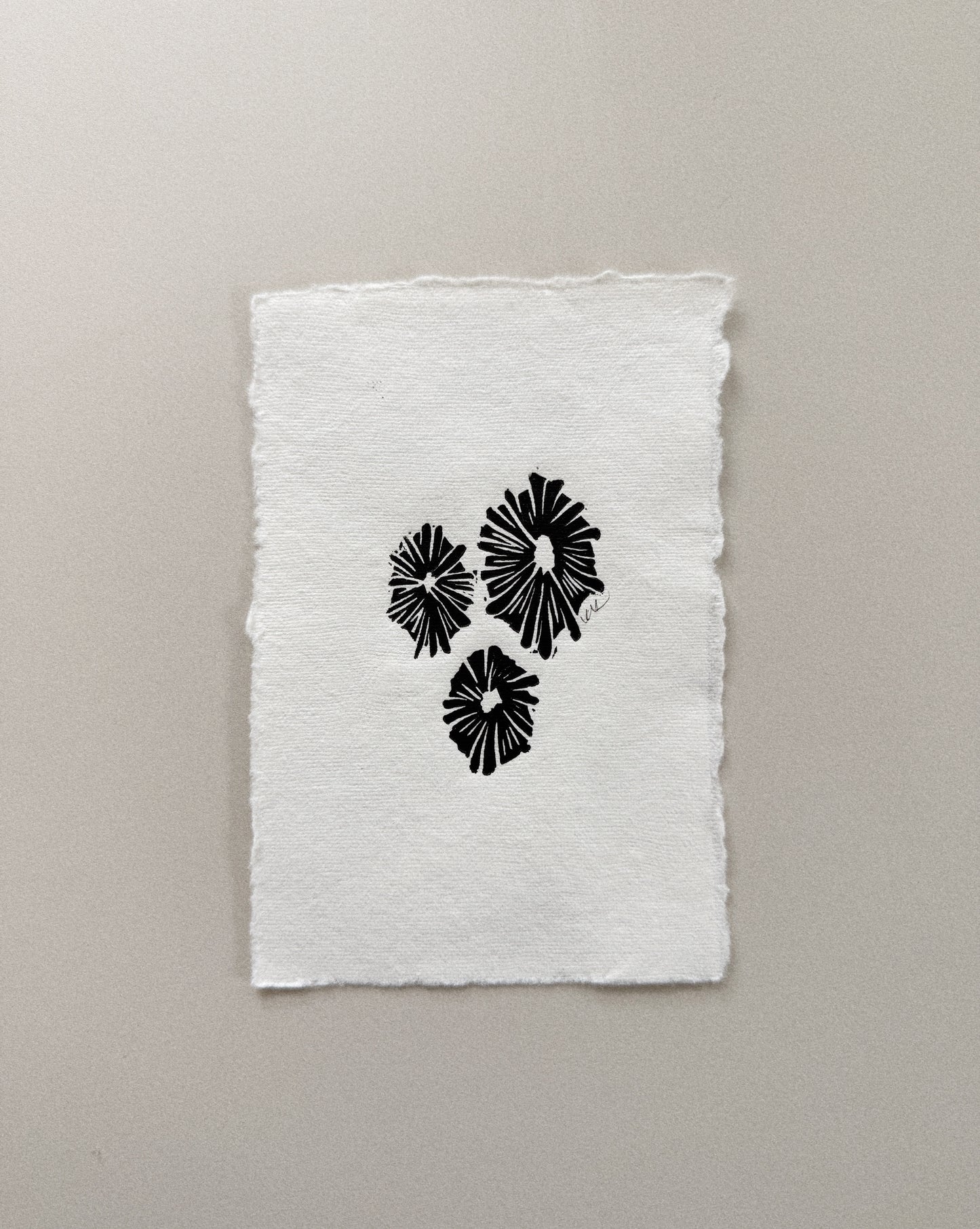 Opihi No 3: A Tiny Print