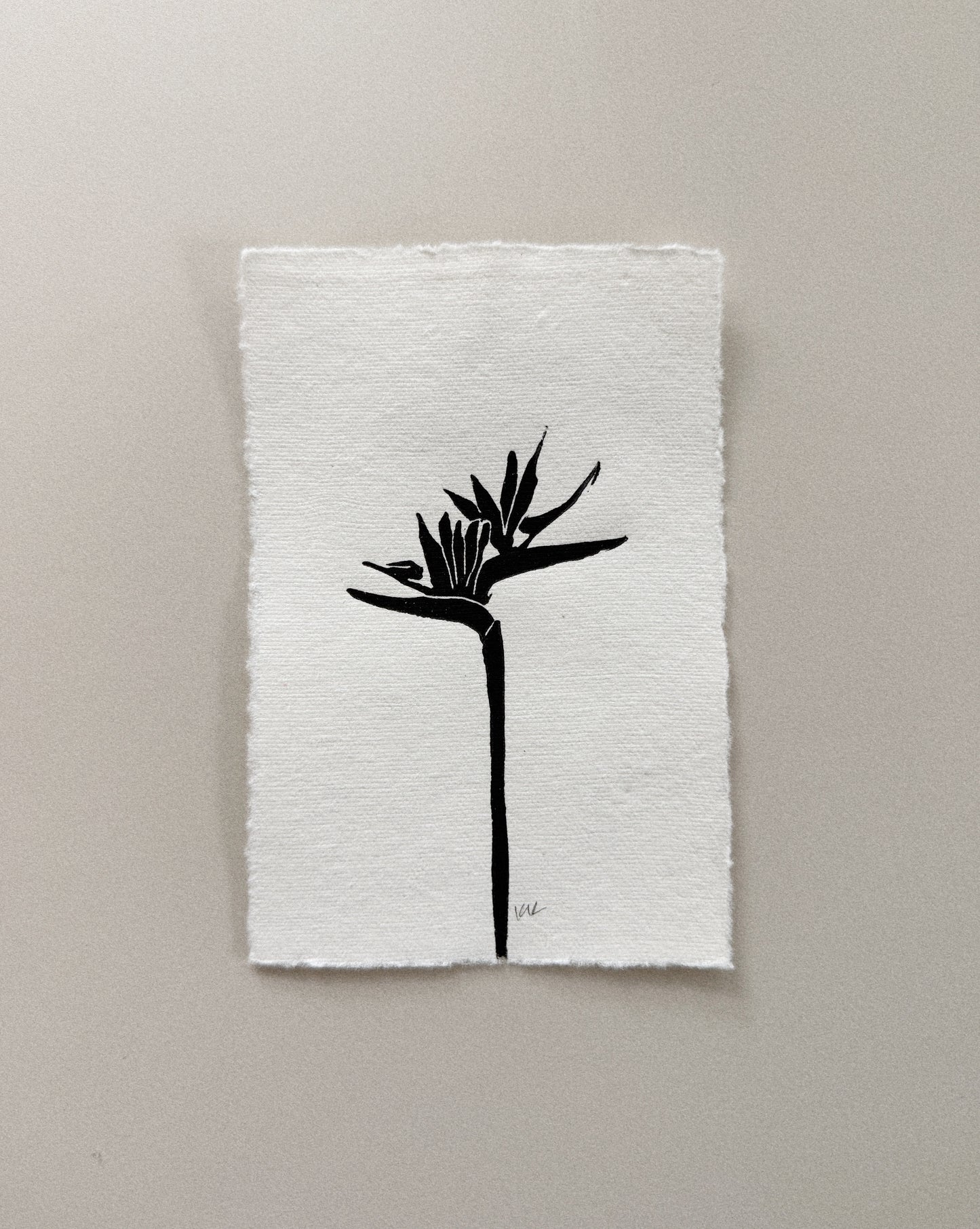 Birds Both Ways: A Tiny Print