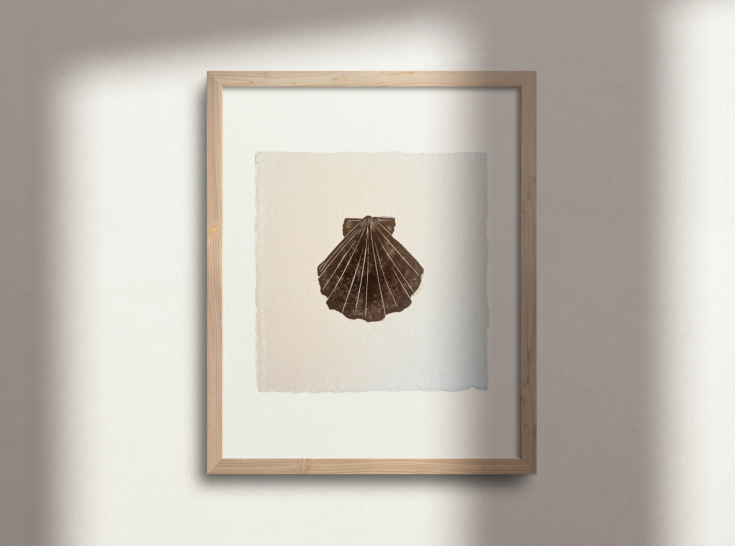 The Scallop - A Shell Study