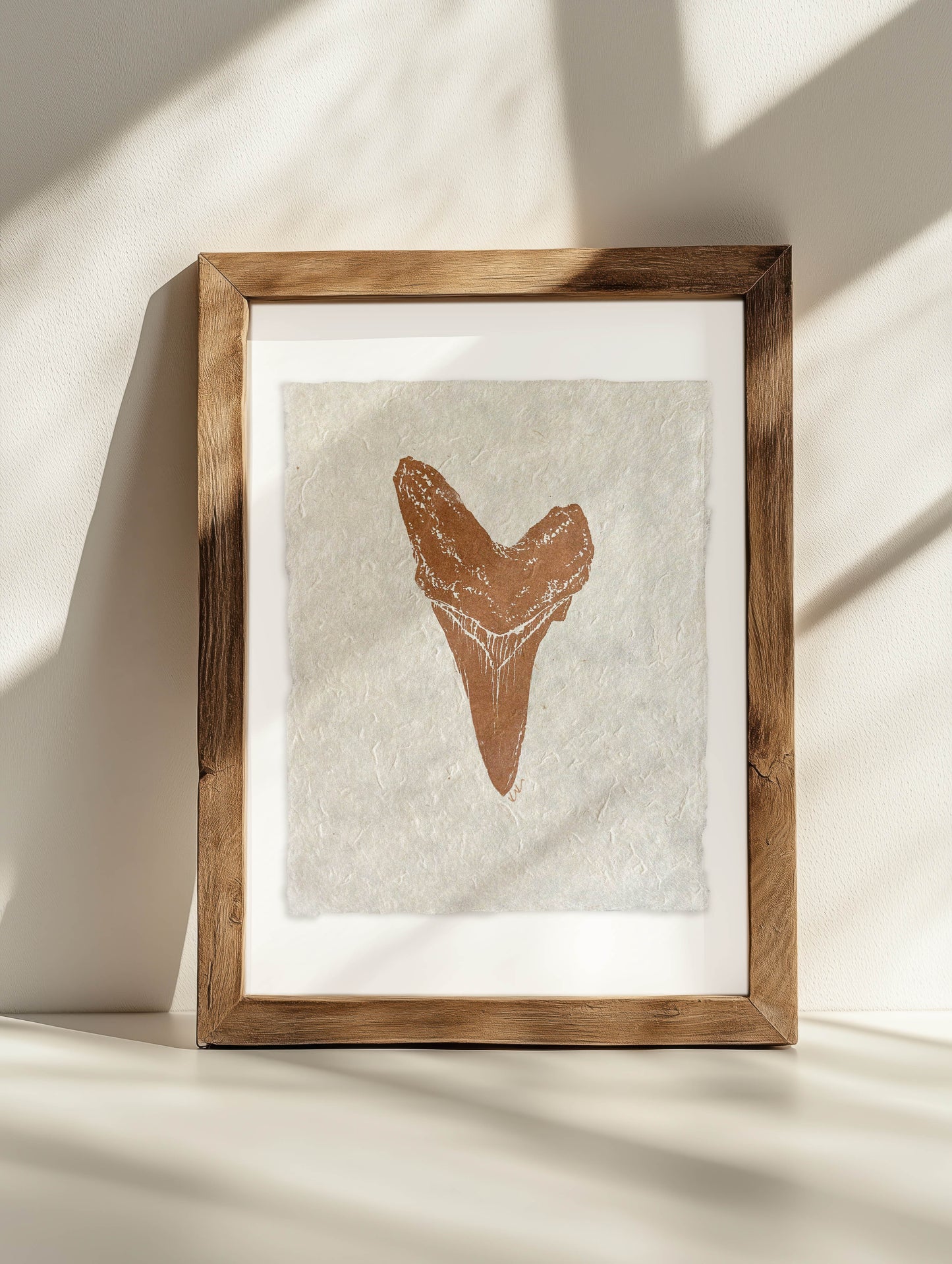 Shortfin Mako Sharktooth Study