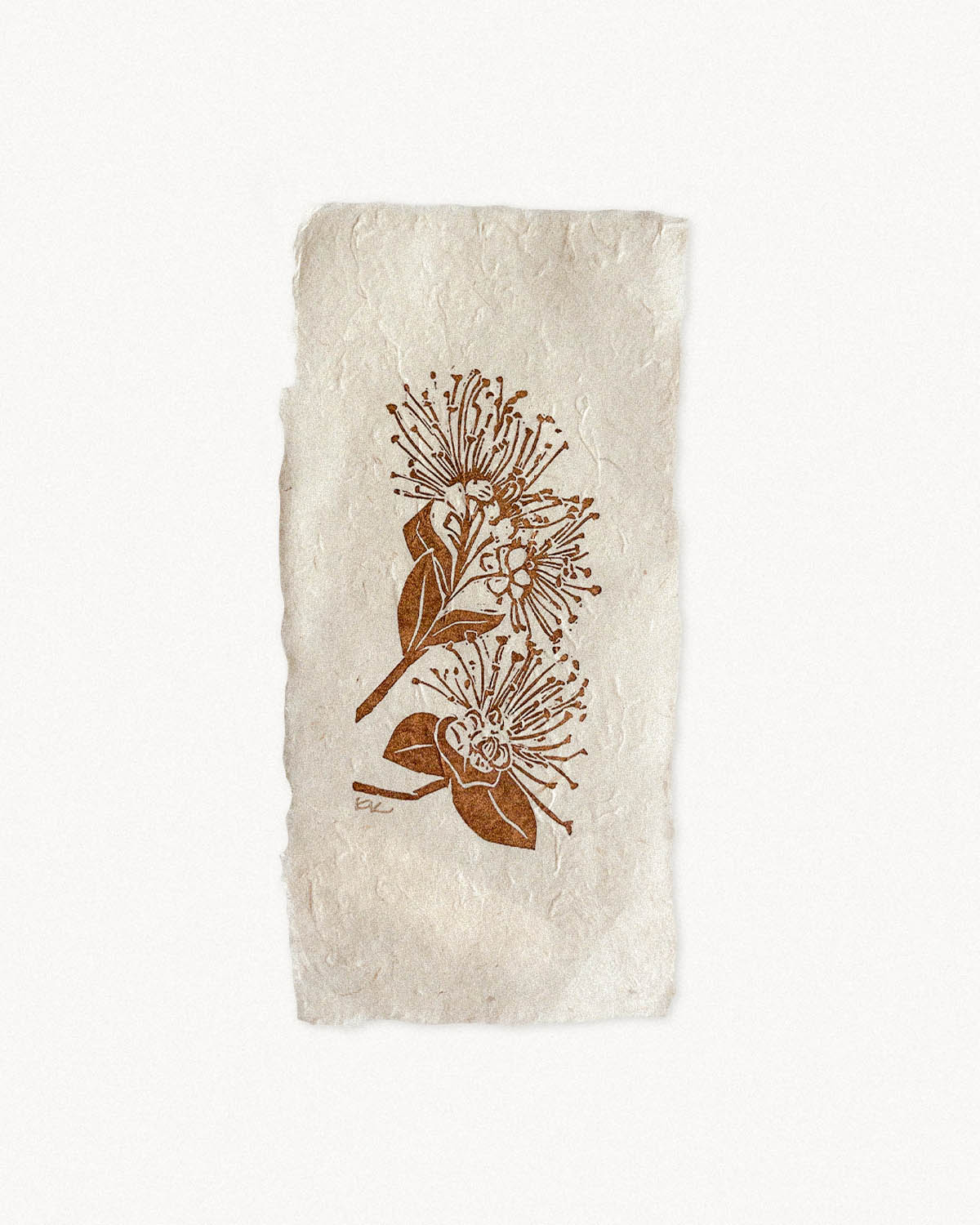 'Ohi'a lehua