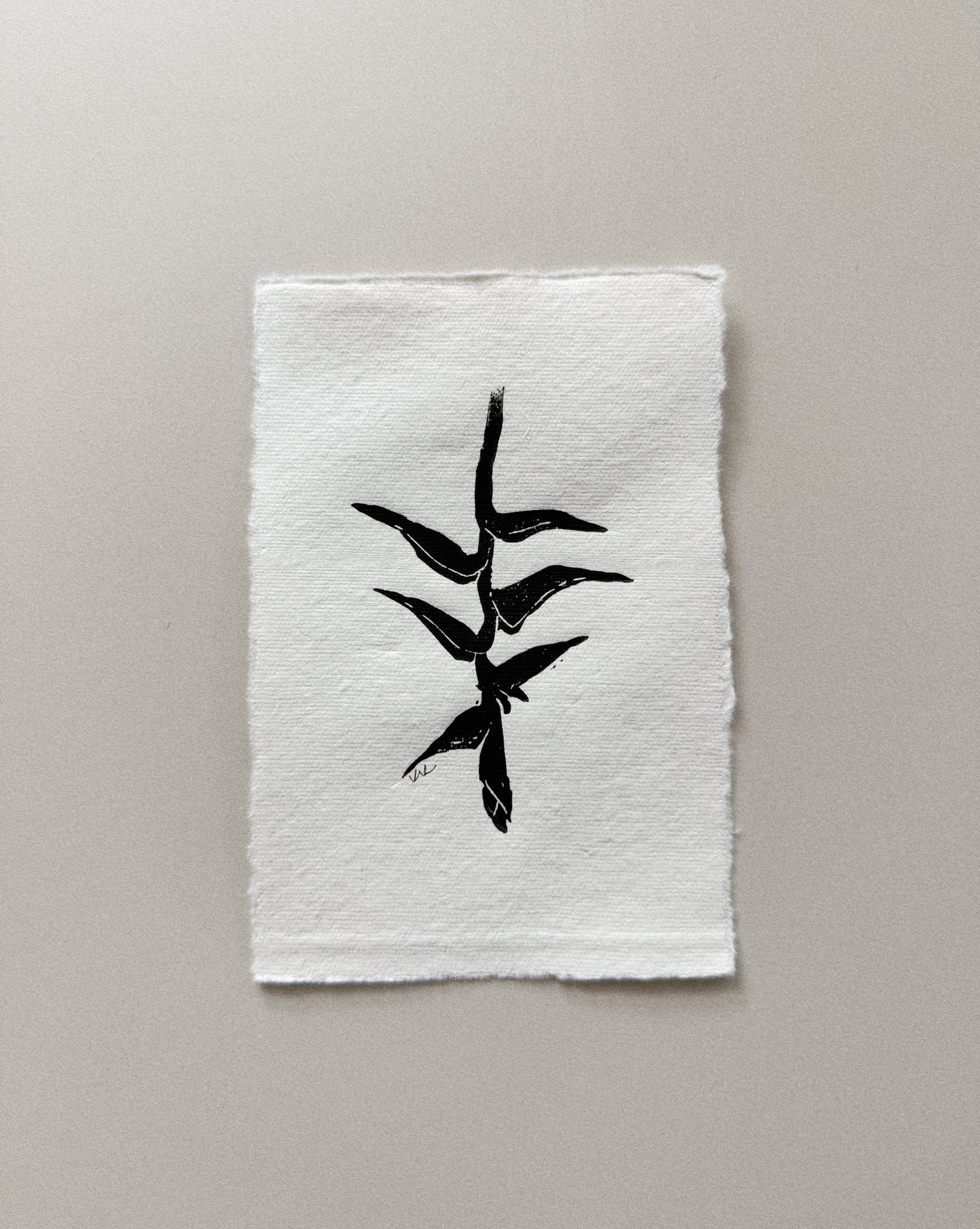 Hanging Heliconia: A Tiny Print