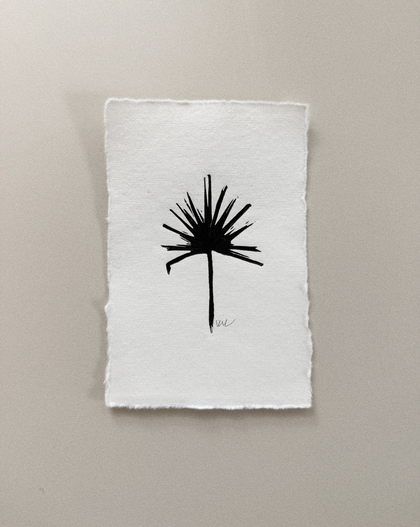 La Palma: A Tiny Print