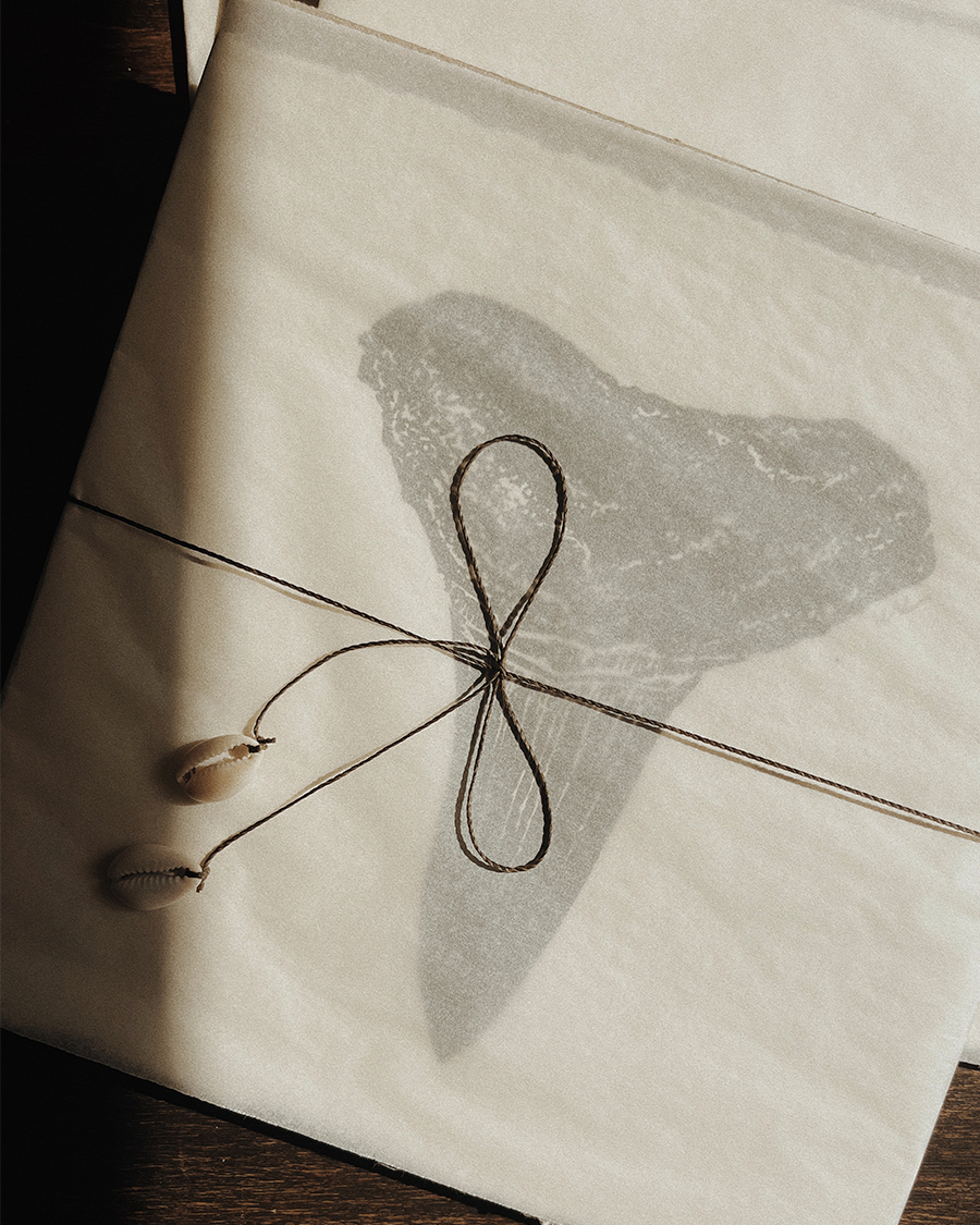Lemon Sharktooth Study